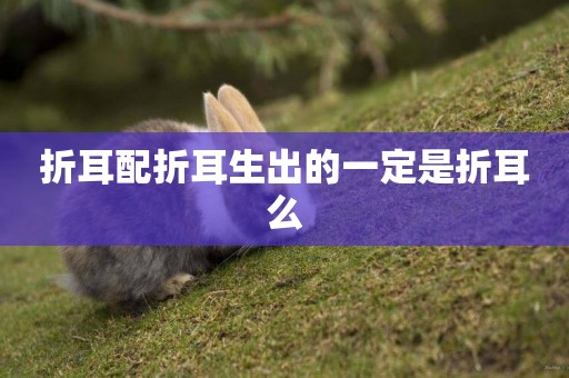 折耳配折耳生出的一定是折耳么