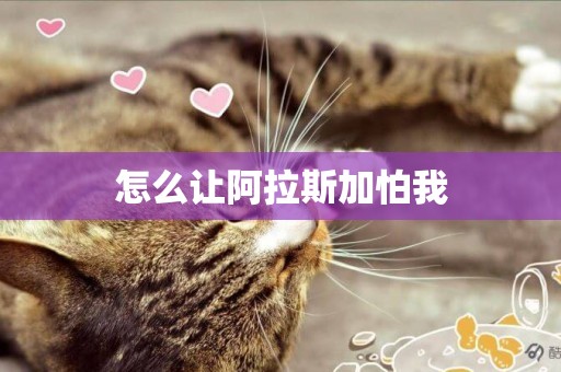 怎么讓阿拉斯加怕我