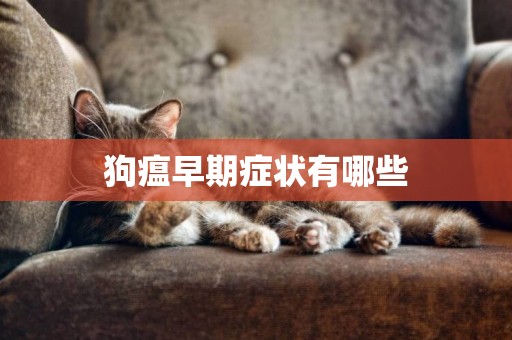 狗瘟早期癥狀有哪些
