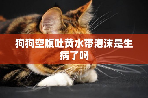 狗狗空腹吐黃水帶泡沫是生病了嗎