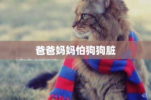 爸爸媽媽怕狗狗臟