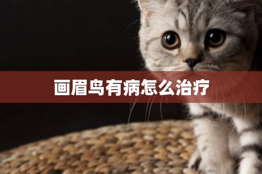 畫眉鳥有病怎么治療