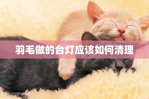羽毛做的臺燈應該如何清理