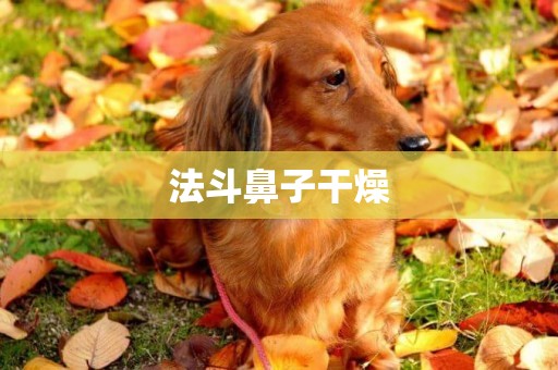 法斗鼻子干燥