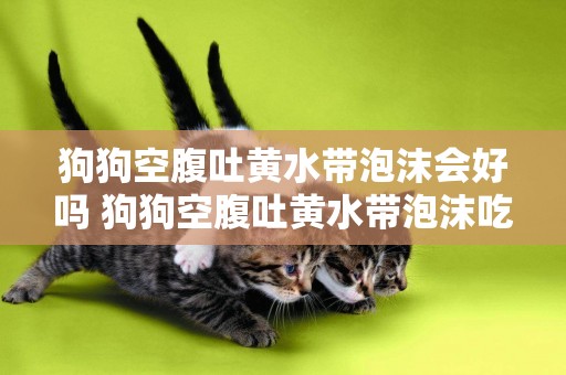 狗狗空腹吐黃水帶泡沫會好嗎 狗狗空腹吐黃水帶泡沫吃什么