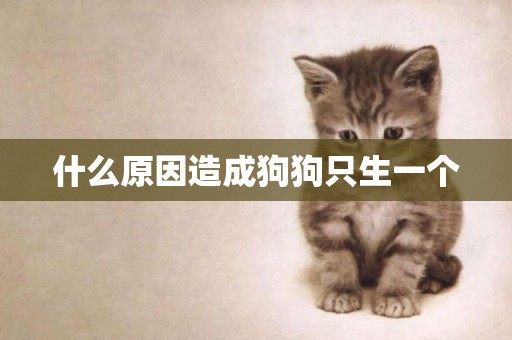 什么原因造成狗狗只生一個