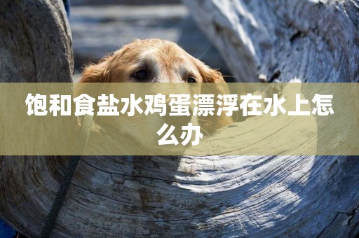飽和食鹽水雞蛋漂浮在水上怎么辦
