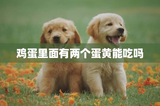 雞蛋里面有兩個蛋黃能吃嗎