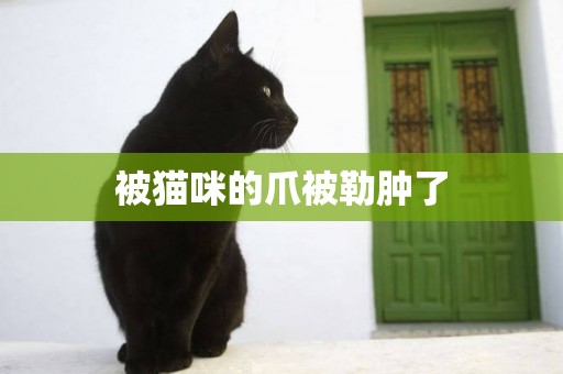 被貓咪的爪被勒腫了