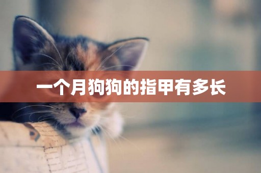 一個月狗狗的指甲有多長