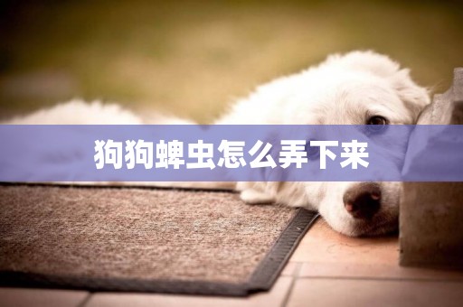 狗狗蜱蟲怎么弄下來