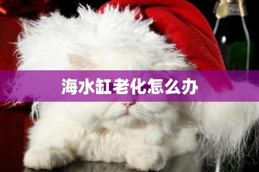 海水缸老化怎么辦
