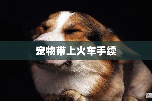 寵物帶上火車手續