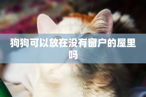 狗狗可以放在沒有窗戶的屋里嗎