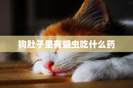 狗肚子里有蛔蟲吃什么藥