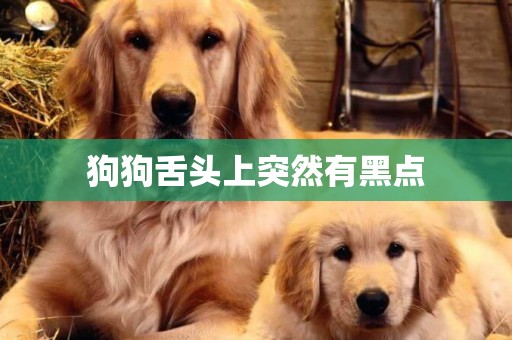 狗狗舌頭上突然有黑點