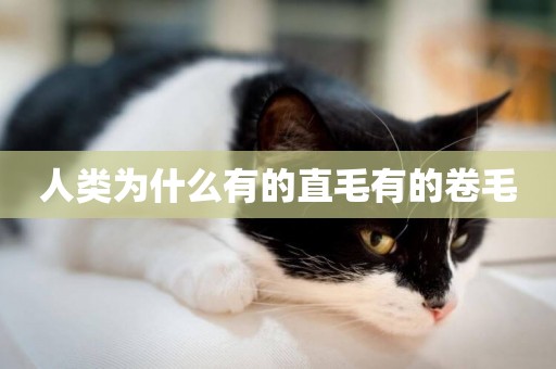 人類為什么有的直毛有的卷毛