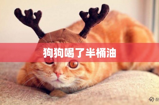 狗狗喝了半桶油