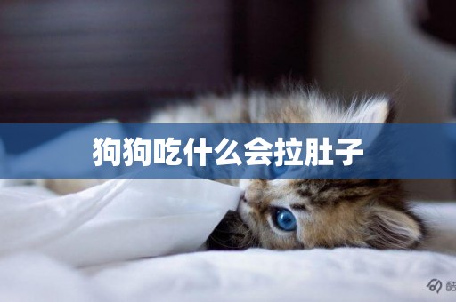 狗狗吃什么會拉肚子