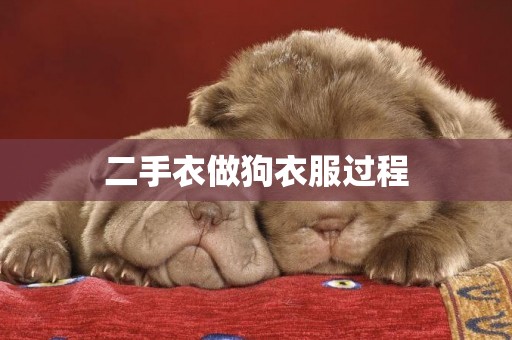 二手衣做狗衣服過程
