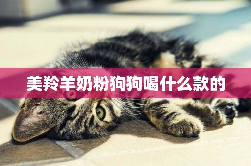 美羚羊奶粉狗狗喝什么款的