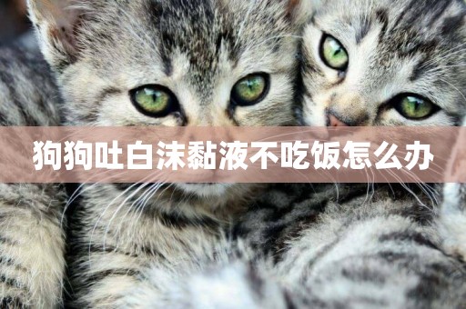 狗狗吐白沫黏液不吃飯怎么辦