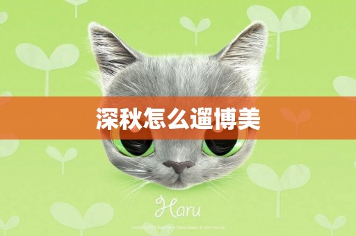 深秋怎么遛博美
