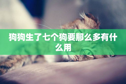 狗狗生了七個狗要那么多有什么用