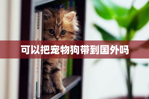 可以把寵物狗帶到國外嗎