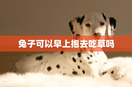 兔子可以早上抱去吃草嗎