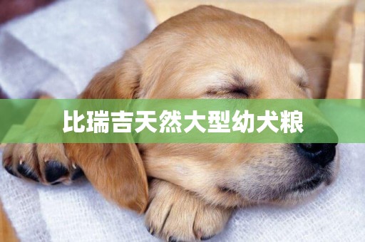 比瑞吉天然大型幼犬糧