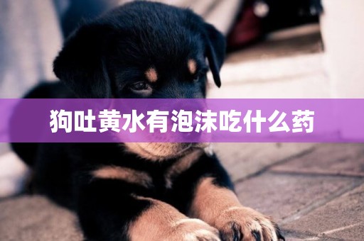 狗吐黃水有泡沫吃什么藥
