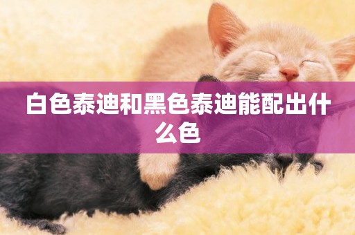 白色泰迪和黑色泰迪能配出什么色