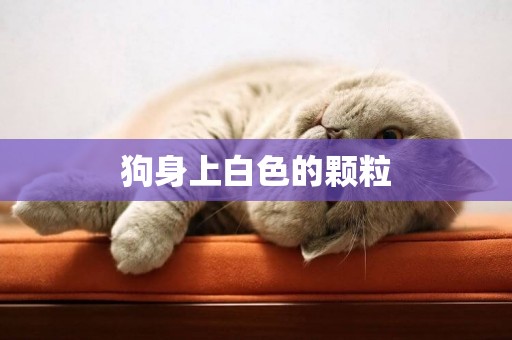 狗身上白色的顆粒