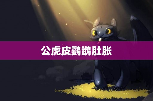 公虎皮鸚鵡肚脹