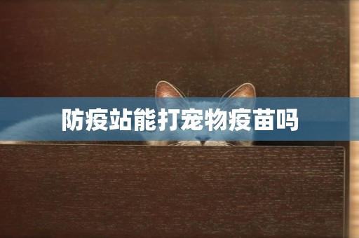 防疫站能打寵物疫苗嗎