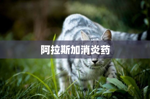 阿拉斯加消炎藥