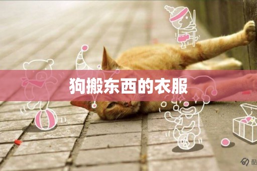 狗搬東西的衣服