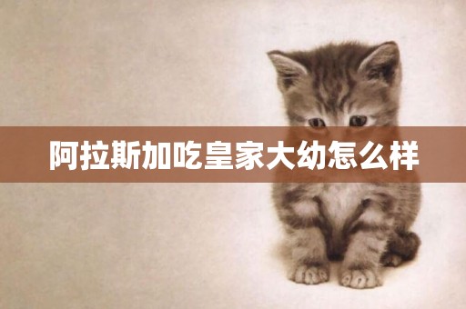 阿拉斯加吃皇家大幼怎么樣