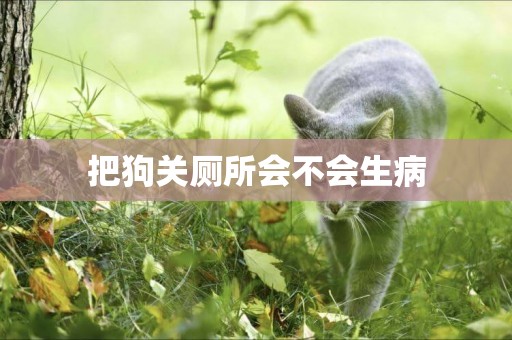把狗關廁所會不會生病