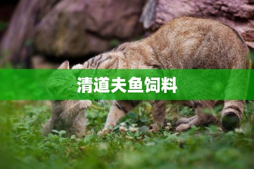 清道夫魚飼料