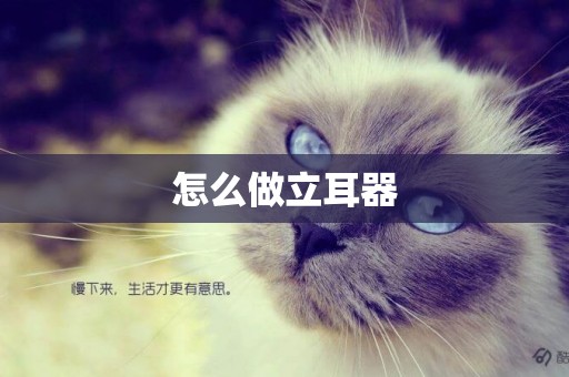 怎么做立耳器