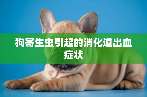 狗寄生蟲引起的消化道出血癥狀