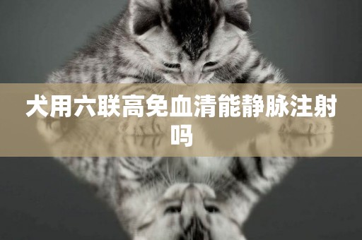 犬用六聯高免血清能靜脈注射嗎