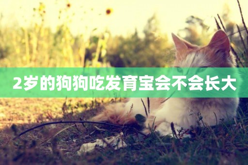 2歲的狗狗吃發育寶會不會長大