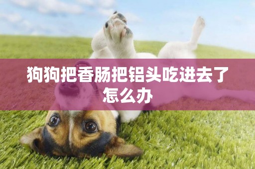 狗狗把香腸把鋁頭吃進去了怎么辦