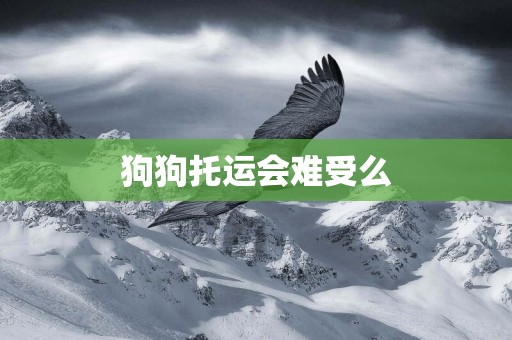 狗狗托運會難受么