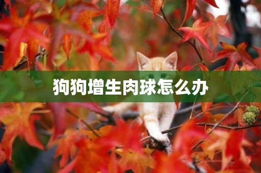 狗狗增生肉球怎么辦