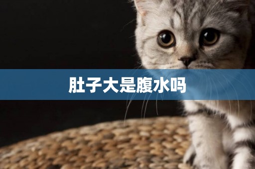 肚子大是腹水嗎