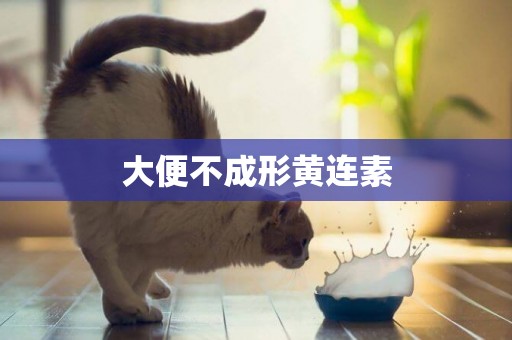 大便不成形黃連素